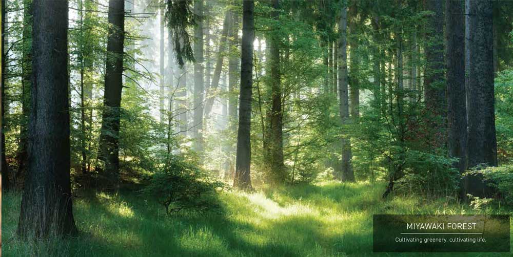Miyawaki Forest