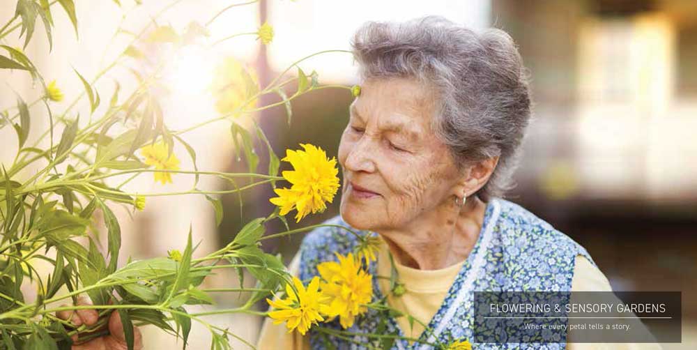 Flowering & Sensory Gardens